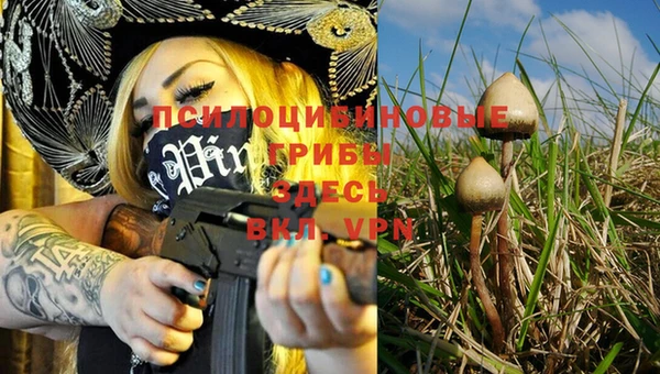 MESCALINE Вязники