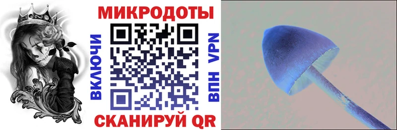 как найти закладки Снежинск МЕГА ONION Псилоцибиновые грибы мицелий