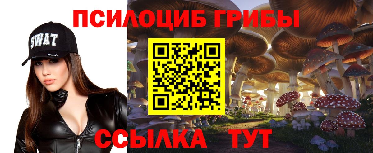 Псилоцибиновые грибы Psilocybine cubensis Снежинск